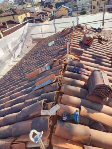 485007787_1070026575178591_4007362758404952476_n (1)_risultato